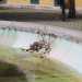 Una fontana senzacqua, diventata ricettacolo di rifiuti...